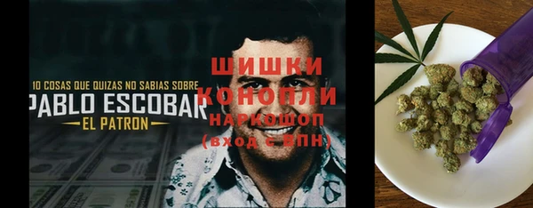 мет Алексин
