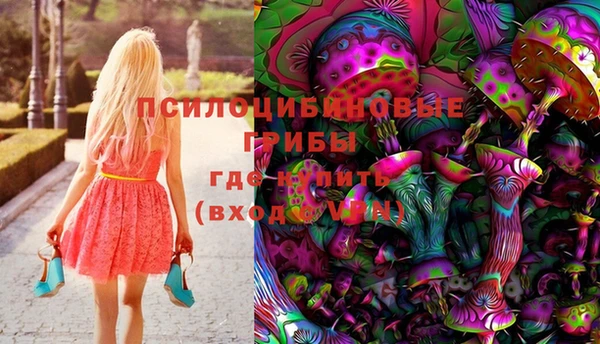 мет Алексин