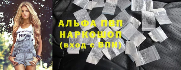 мет Алексин