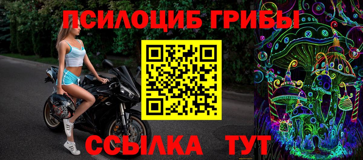 Шатура  Галлюциногенные грибы ЛСД  Вход с VPN 