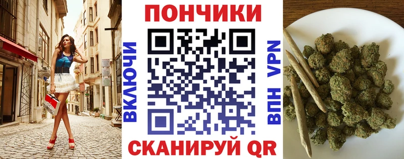 где можно купить   Шатура  Конопля сатива 